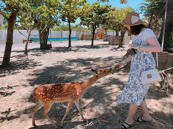 UNADJUSTEDNONRAW_thumb_3e69.jpg UNADJUSTEDNONRAW_thumb_3e69.jpg