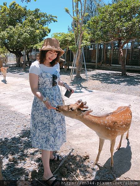 UNADJUSTEDNONRAW_thumb_3e61.jpg UNADJUSTEDNONRAW_thumb_3e61.jpg