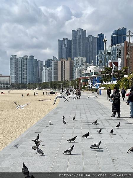 IMG_4466.jpg IMG_4466.jpg