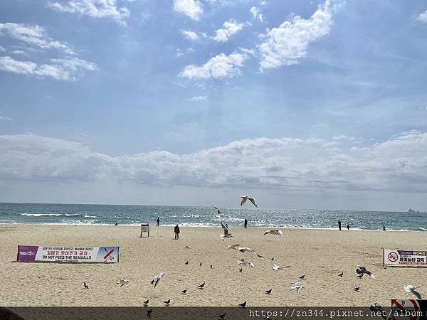 IMG_4460.jpg IMG_4460.jpg