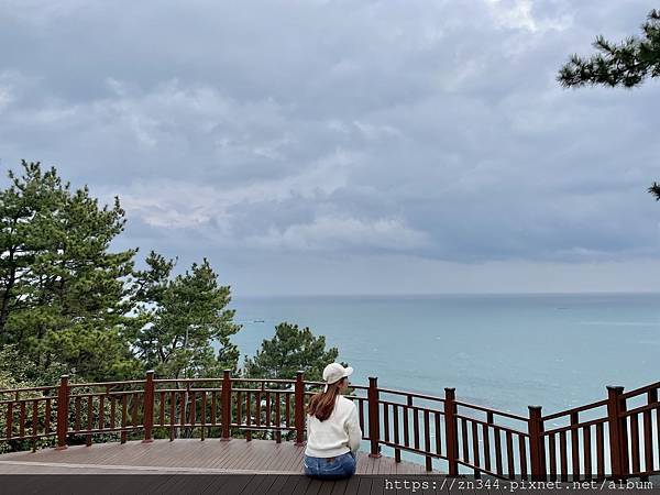 IMG_4556.jpg IMG_4556.jpg