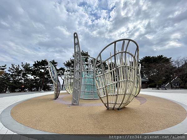 IMG_4505.jpg IMG_4505.jpg