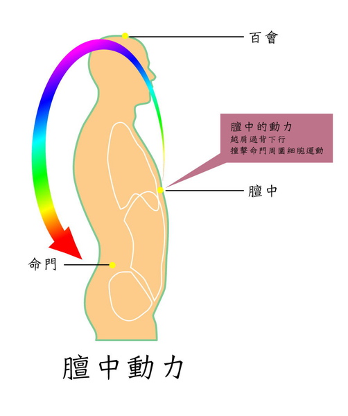 膻中動力修正.jpg