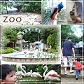 新竹Zoo