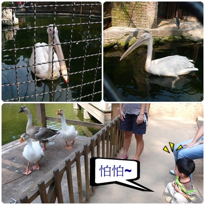 再訪新竹動物園