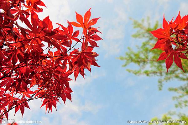 2015最有錢的星座排名 