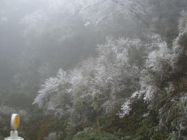 在南湖大山的路口