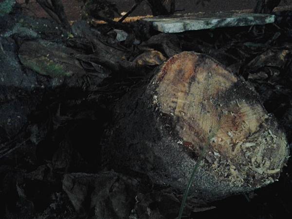 20150819_222011 20150819_222011