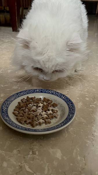 飼料.jpg