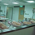 永和耕莘醫院的嬰兒室