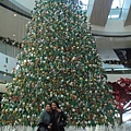 很大的聖誕樹