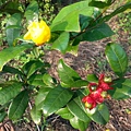 20131008_071407