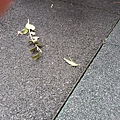 20131106_105927