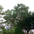 20131106_104524