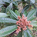 20131106_071112