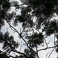 20140226_072833