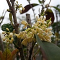 20140226_072420