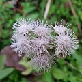 20140226_072328