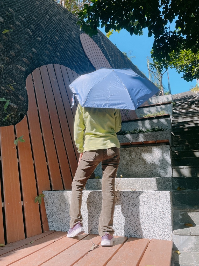 雨傘王BigRed自動直傘/自動折傘推薦༺防風/抗雨/抗UV