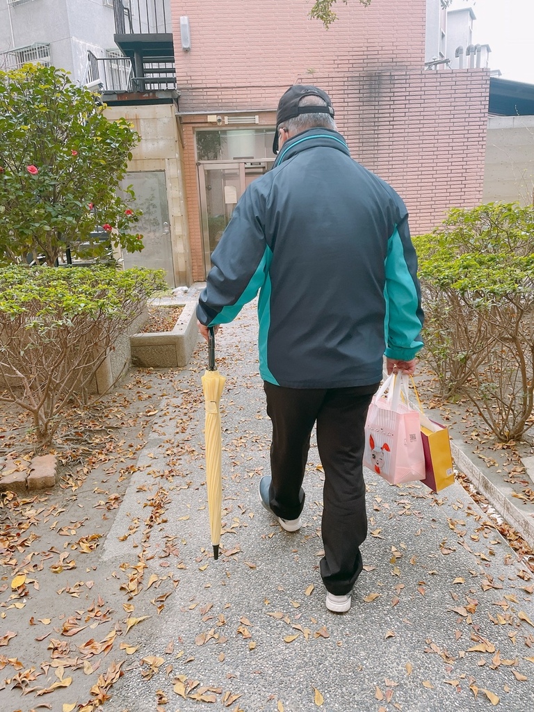 雨傘王BigRed自動直傘/自動折傘推薦༺防風/抗雨/抗UV