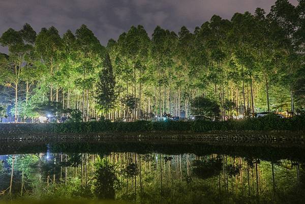 【苗栗造橋露營】桉心園露營區112露‖龍昇桉心園生態園區‖樹