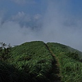 100-1基隆山-下山的道路