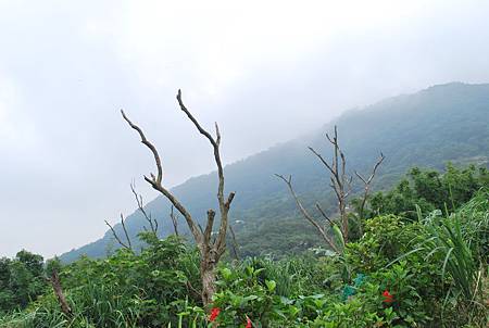 100-2-5-觀音山硬漢嶺