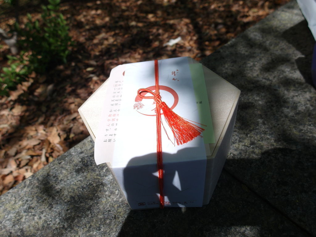 SAM_8566.JPG SAM_8566.JPG