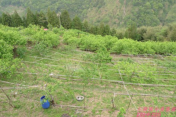 【桃園】達觀渡假農場民宿 30.jpg