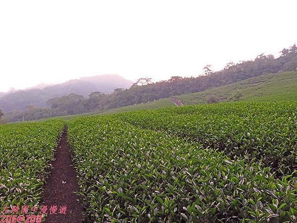 【嘉義】華納因厝 優遊吧斯鄒族文化部落 25.jpg 【嘉義】華納因厝 優遊吧斯鄒族文化部落 25.jpg