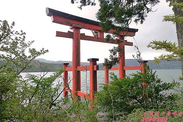 【日本箱根】箱根神社 23.jpg