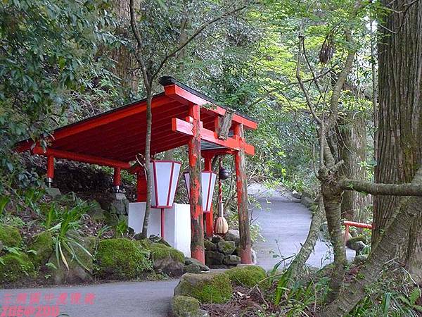 【日本箱根】箱根神社 19.jpg