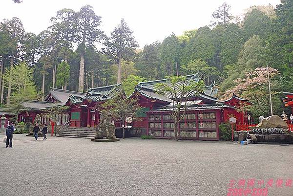 【日本箱根】箱根神社 13.jpg