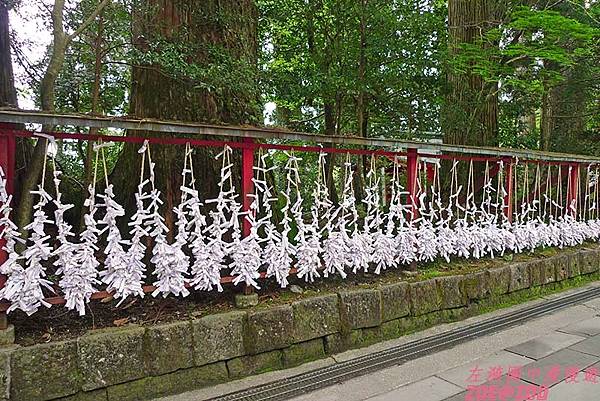 【日本箱根】箱根神社 16.jpg