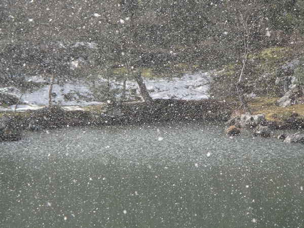 又下雪了~