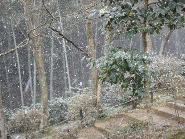 這邊也開始下雪了