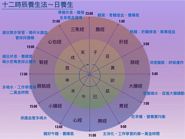 經絡圖.001.jpeg 經絡圖.001.jpeg