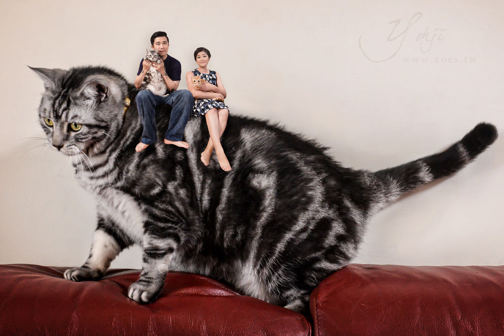 花蓮自主婚紗搶先PO 阿南%26;幸蓉