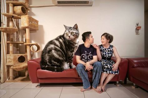 今日婚紗搶先PO 阿南%26;幸蓉