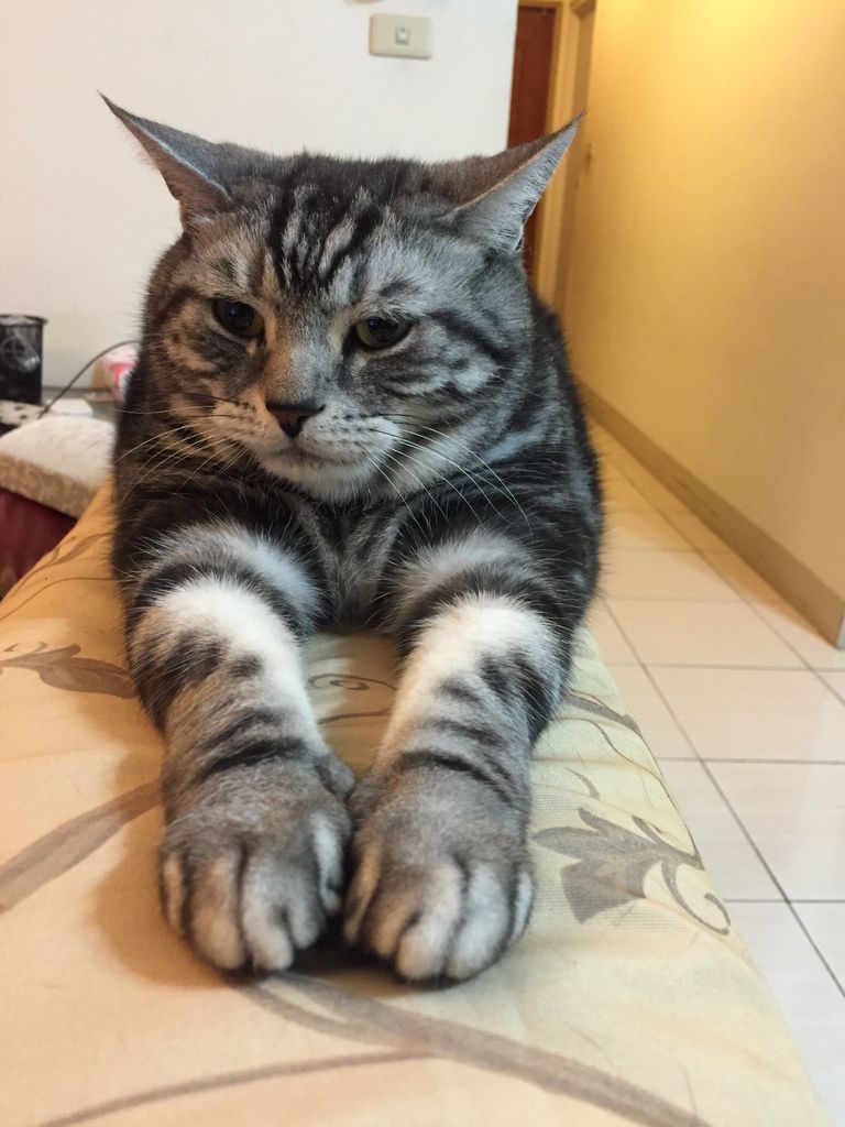 相片 2016-3-9 下午8 09 59.jpg 相片 2016-3-9 下午8 09 59.jpg