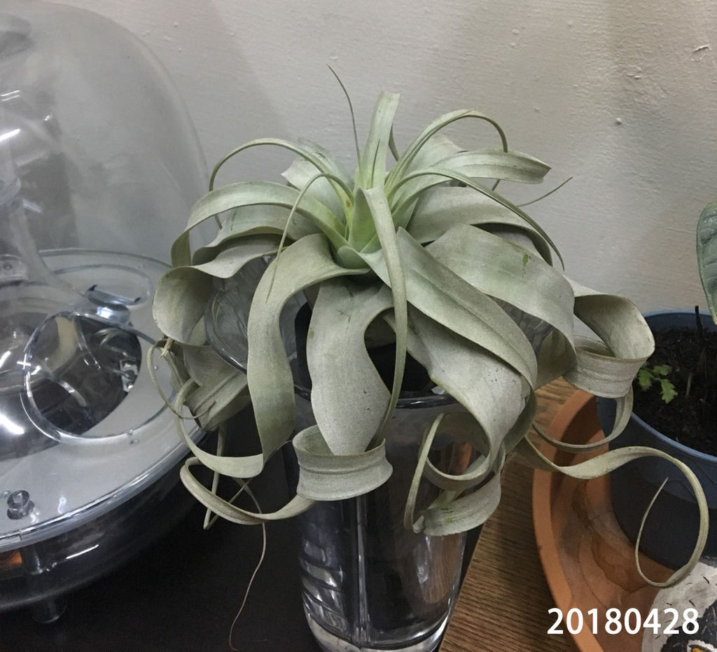 相片 2018-4-28 上午12 35 29.jpg 相片 2018-4-28 上午12 35 29.jpg