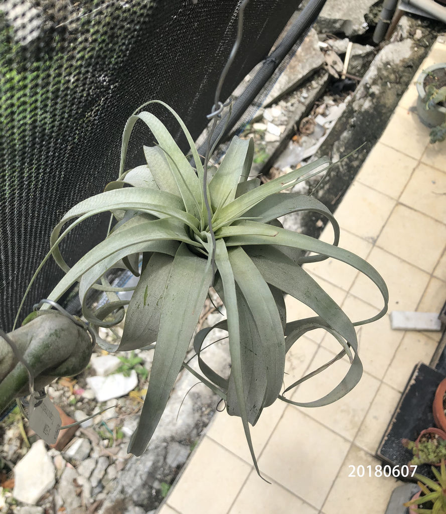 相片 2018-6-7 上午11 03 56.jpg 相片 2018-6-7 上午11 03 56.jpg