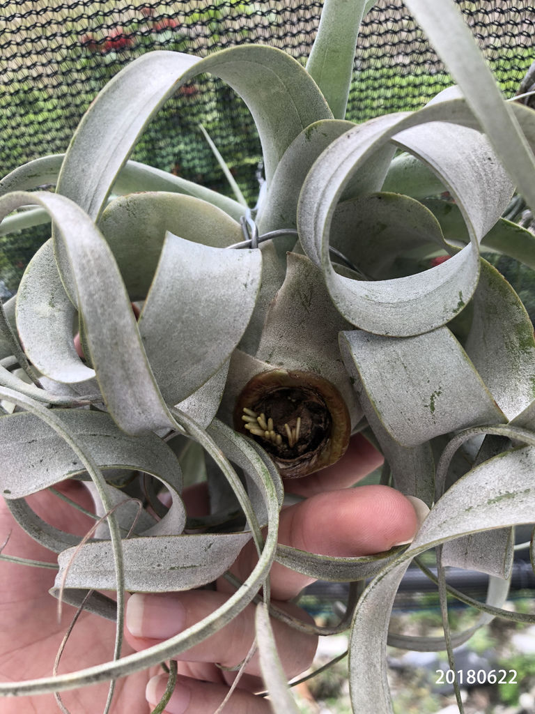 相片 2018-6-22 下午12 05 53.jpg 相片 2018-6-22 下午12 05 53.jpg