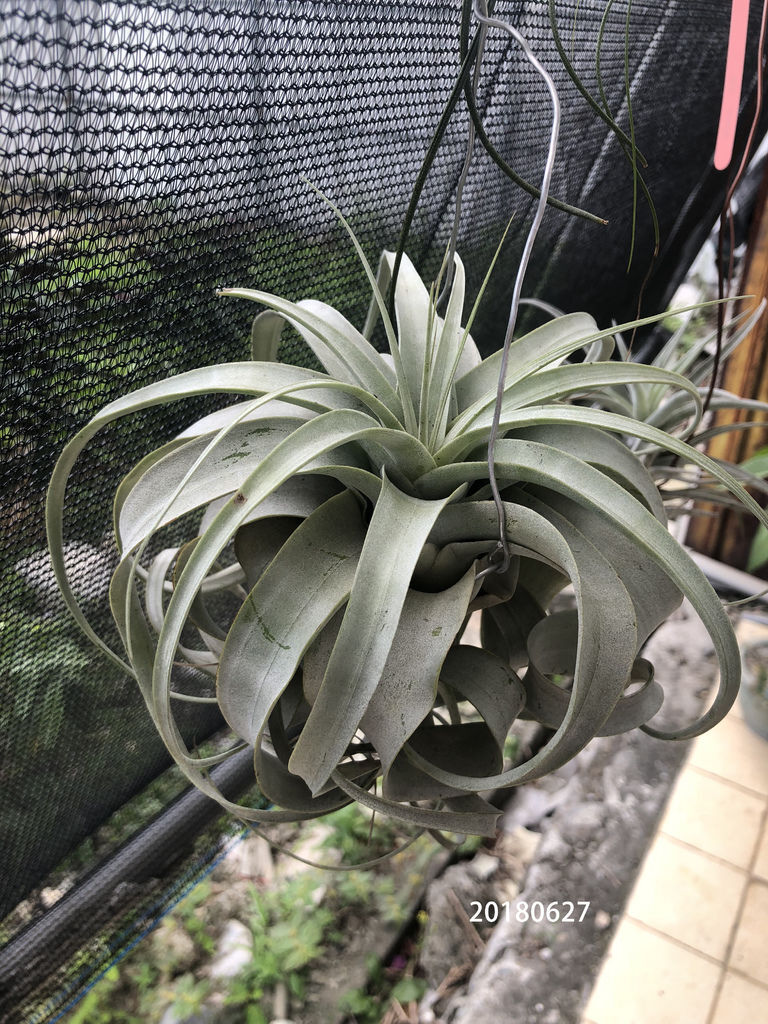 相片 2018-6-22 下午12 05 59.jpg 相片 2018-6-22 下午12 05 59.jpg