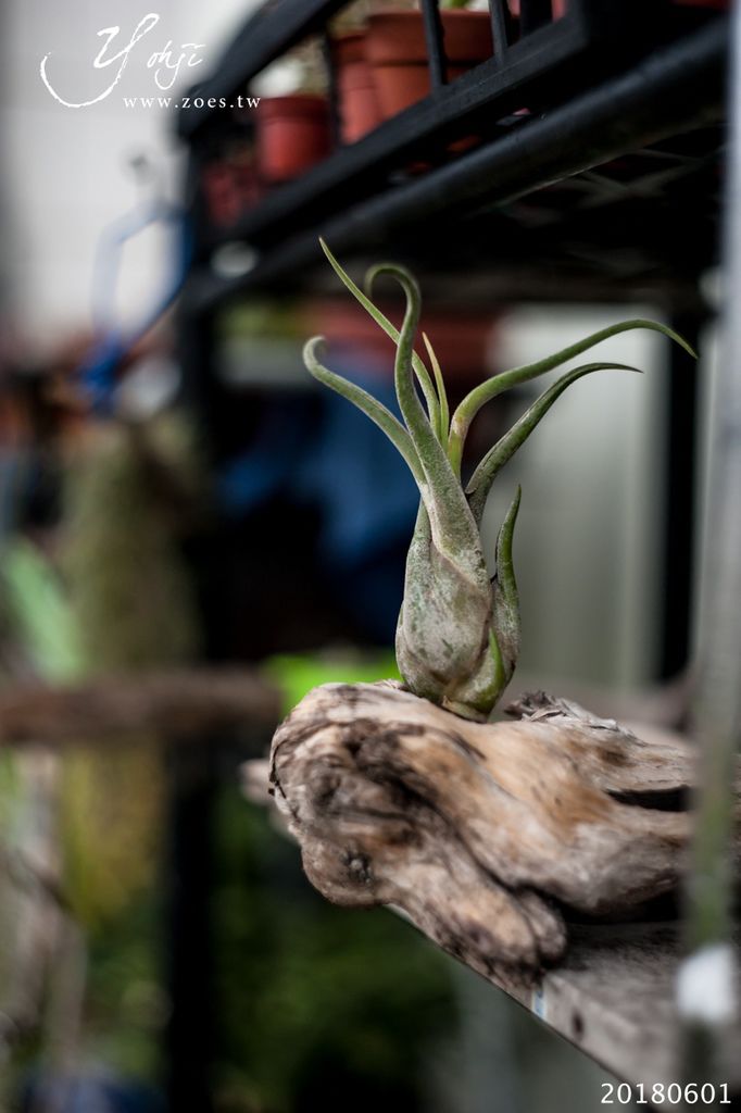 20180601-DSC_3233.jpg 20180601-DSC_3233.jpg