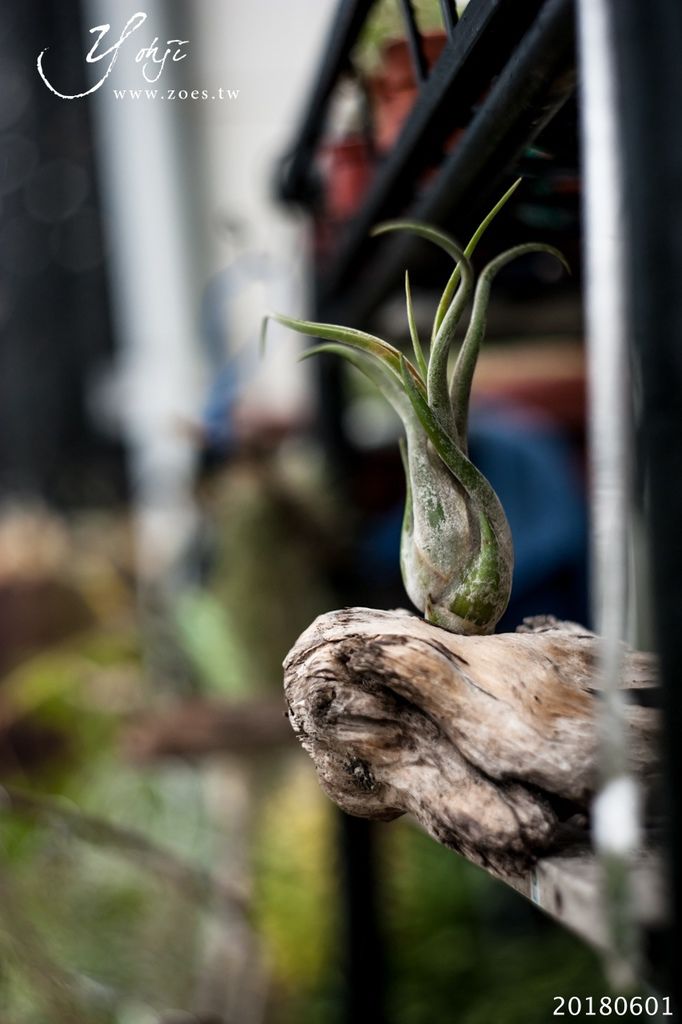 20180601-DSC_3235.jpg 20180601-DSC_3235.jpg