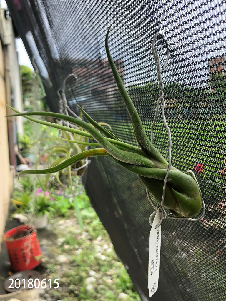 相片 2018-06-15-12 18 31.jpg 相片 2018-06-15-12 18 31.jpg