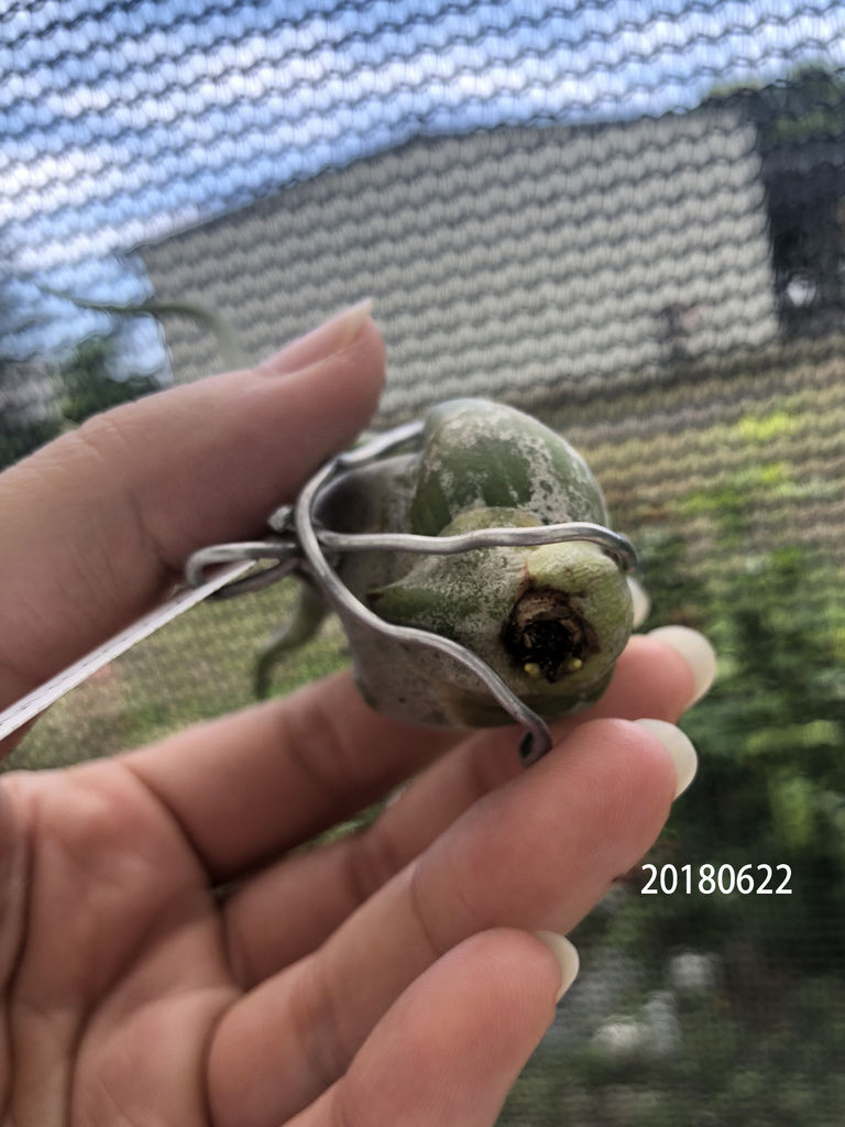 相片 2018-6-22 下午12 05 37.jpg 相片 2018-6-22 下午12 05 37.jpg