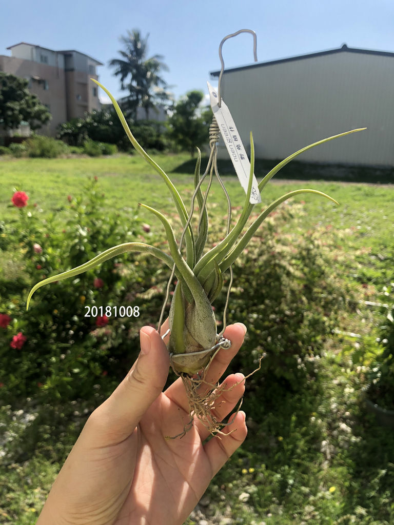 相片 2018-10-8 上午9 31 23.jpg 相片 2018-10-8 上午9 31 23.jpg