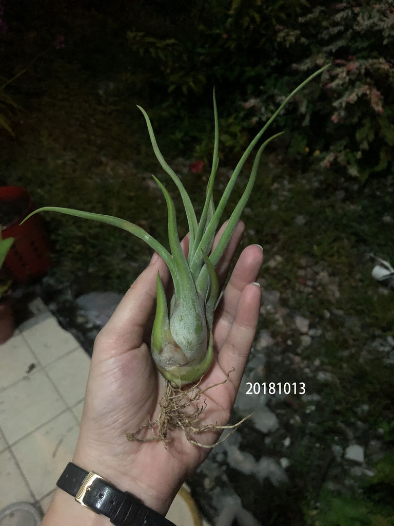 相片 2018-10-13 下午8 13 28.jpg 相片 2018-10-13 下午8 13 28.jpg